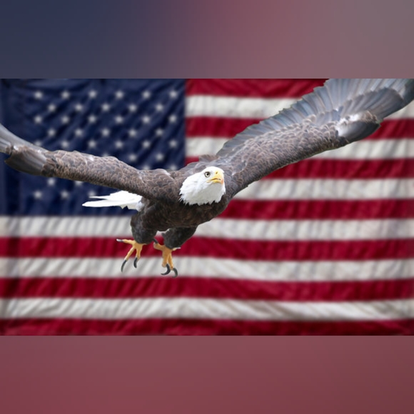 🌹 VS Wicked Open-Cup Ruched Slip 🌹 - Picture 13 of 15